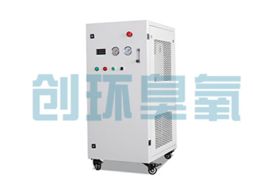 玉田石斑鱼养殖水质调控完整指南：臭氧发生器配置与操作步骤