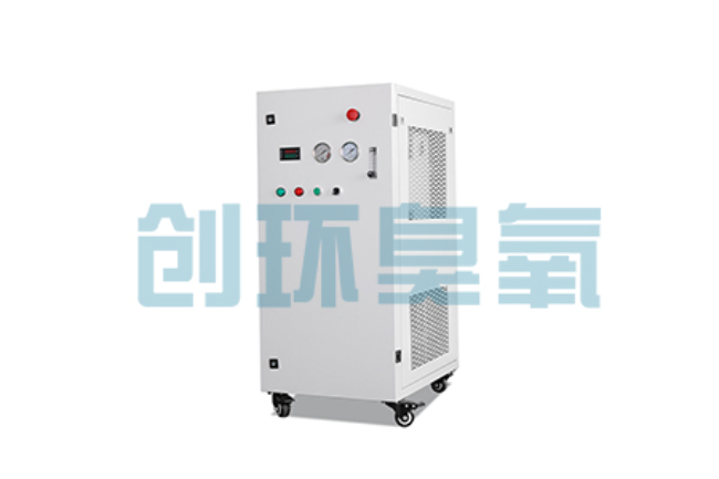 玉田比传统换水更高效?臭氧发生器在石斑鱼养殖中的水质净化原理解析